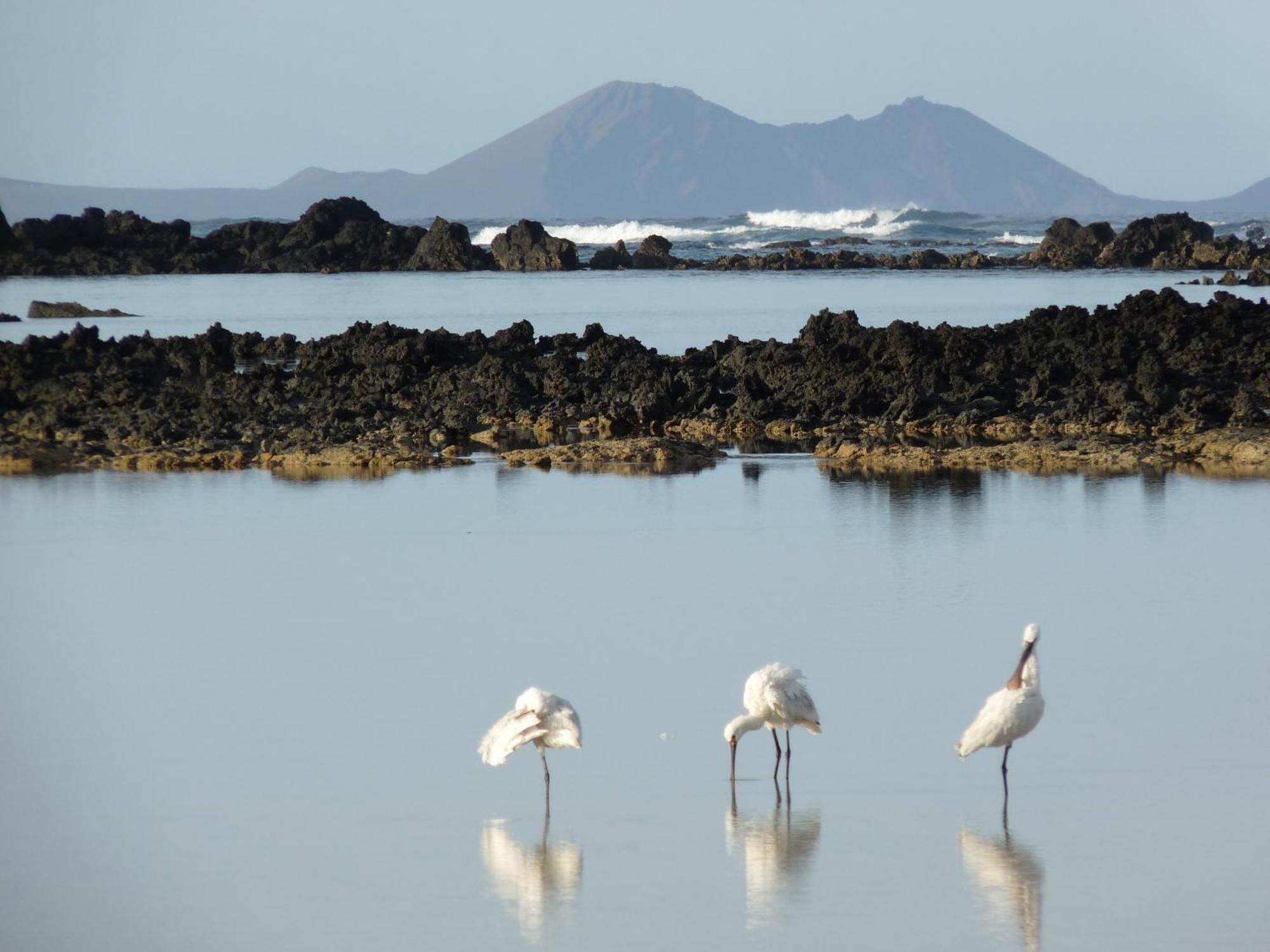 Casa Ana Y El Mar - Para Enamorados Del Mar - Lanzarote 特吉塞 外观 照片